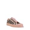 Picture of Star Master Leopard/Rose